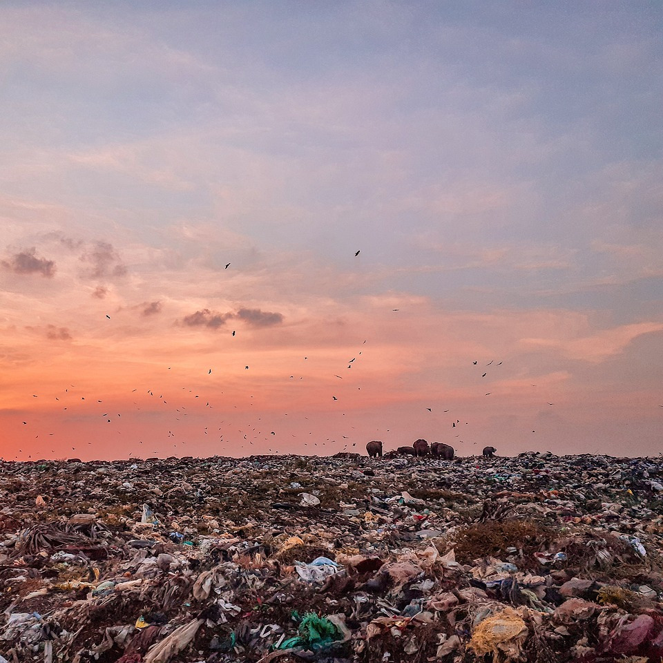 garbage truck waste removal
